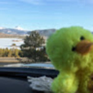 Meet your Posher, Caleb